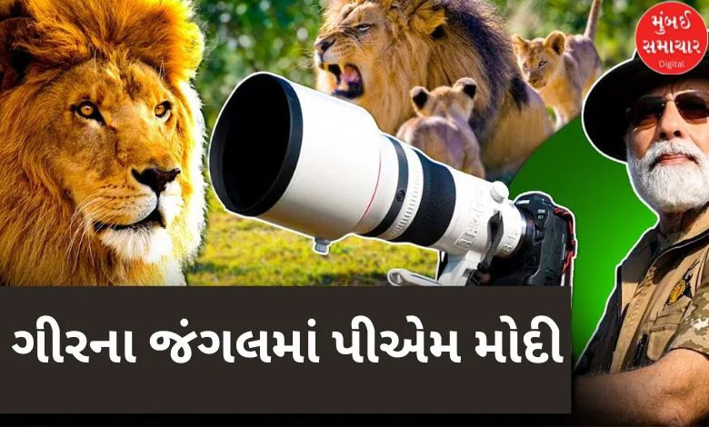 What will PM Modi do in Gir forest? Know the details