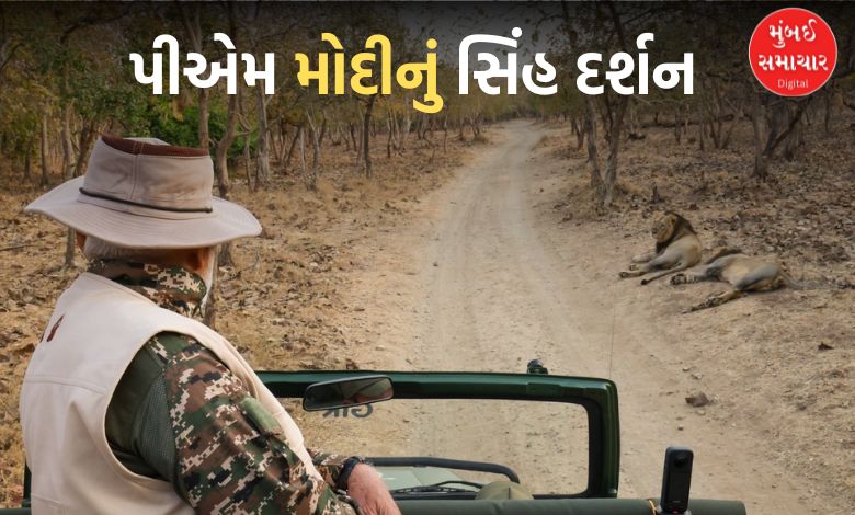 pm modi visits gir for lion darshan