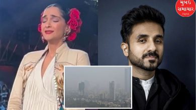 sonam kapoor expresses concern over mumbai's pollution