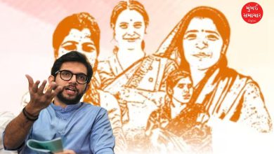 Aditya Thackeray claims, Ladki Behen scheme 'more or less completed'