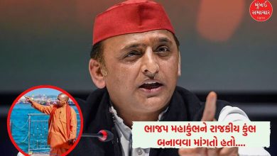 મહાકુંભમાં યોગીને વડાપ્રધાન પદના ઉમેદવાર જાહેર કરવાની યોજના હતી; અખિલેશ યાદવનો દાવો