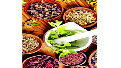 From diet to health: Dashmool extract, a panacea for women after childbirth
