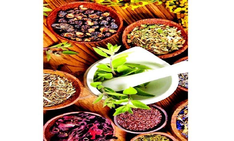 From diet to health: Dashmool extract, a panacea for women after childbirth