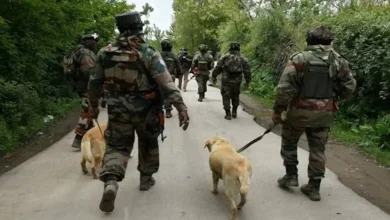 Jammu Kashmir search operation