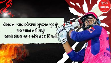 બિહારનો ટાબરિયો સૂર્યવંશી...ફ્લાવર નહીં, ફાયર માસૂમ ગણાતો 14 વર્ષનો વૈભવ સૂર્યવંશી આતશબાજીમાં એક્કો નીકળ્યો