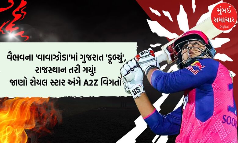 બિહારનો ટાબરિયો સૂર્યવંશી...ફ્લાવર નહીં, ફાયર માસૂમ ગણાતો 14 વર્ષનો વૈભવ સૂર્યવંશી આતશબાજીમાં એક્કો નીકળ્યો