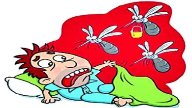 ઊડતી વાત : અસહ્ય ગરમીમાં અગાસીએ ઊંઘવાના ખતરા-અખતરા