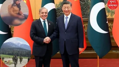 China supported Pakistan; China supported this demand regarding Pahalgam attack