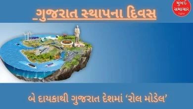 Gujarat Foundation Day: Gujarat has been a 'role model' in the country through a new chapter in development politics in the state for two decades