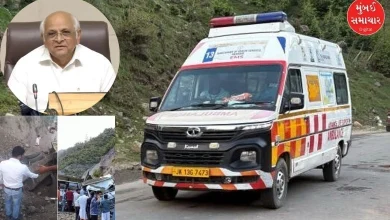 Government launches two helpline numbers to bring back Gujaratis stranded in Jammu and Kashmir