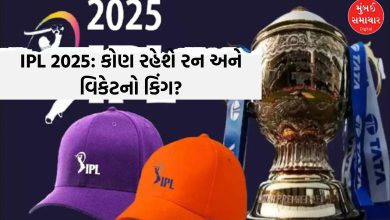 IPL 2025માં 19 મેચ બાદ કોના માથે છે ઓરેન્જ અને પર્પલ કેપ? જુઓ દાવેદારોની યાદી
