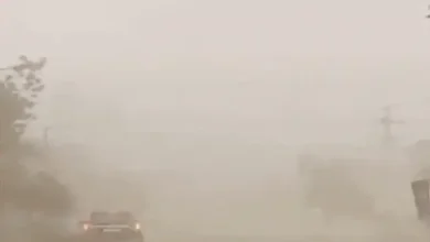 Change in the weather in Kutch: Whispers of strong winds...