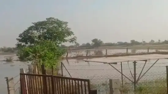Surendranagar Farmers Hit by Narmada Canal Overflow
