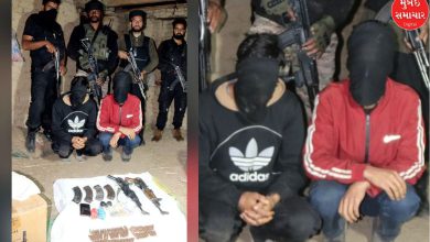 2 terrorists surrender in Jammu and Kashmir's Shopian: Large quantity of weapons recovered