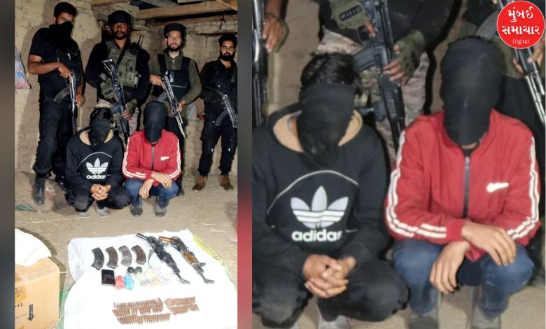 2 terrorists surrender in Jammu and Kashmir's Shopian: Large quantity of weapons recovered