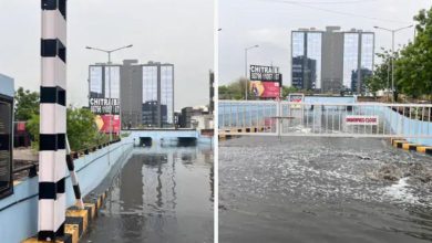 21 dead in unseasonal rains: Rain expected in Gujarat for three more days