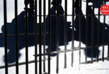 3 Pakistani nationals arrested