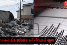 6.1 magnitude earthquake in Hokkaido, Japan: Tsunami threat averted, series of aftershocks!