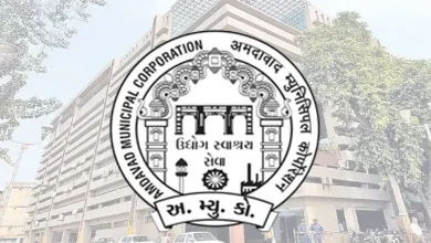 હાથીજણની ઘટના બાદ AMC જાગ્યું, પાલતુ શ્વાનનું રજિસ્ટ્રેશન નહીં કરો તો થશે કડક કાર્યવાહી