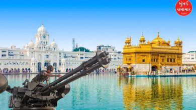 Air defense guns in the Golden Temple