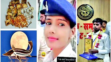 અજબ ગજબની દુનિયા હેન્રી શાસ્ત્રી પર્વત પર પૈસા ઊગે? હા, આમ ઊગે!