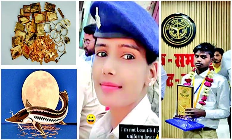 અજબ ગજબની દુનિયા હેન્રી શાસ્ત્રી પર્વત પર પૈસા ઊગે? હા, આમ ઊગે!