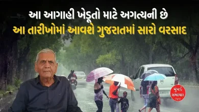 ગુજરાતમાં ચોમાસાનું આગમન ક્યારે થશે? જાણો અંબાલાલ પટેલે શું કહ્યું