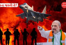 Amit Shah's statement, Pakistan closed airports and US supports India