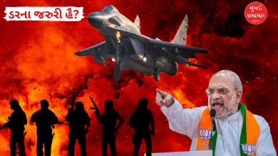 Amit Shah's statement, Pakistan closed airports and US supports India