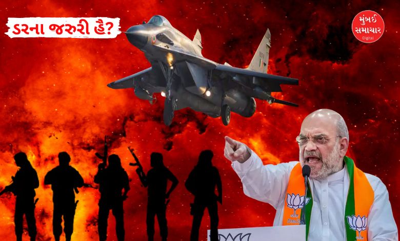 Amit Shah's statement, Pakistan closed airports and US supports India