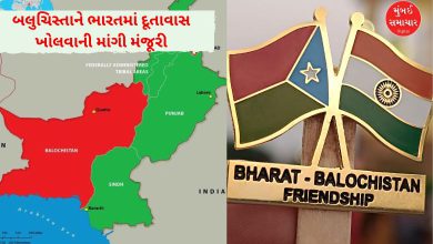બાંગ્લાદેશ પછી બલુચિસ્તાન?: બલોચ આર્મીએ પાકિસ્તાનની ઊંઘ હરામ કરી