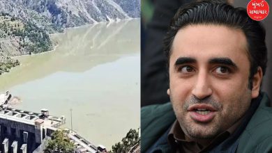 Bilawal Bhutto, who threatened to 'shed blood in the river', has come to his senses! Talks about peace with India