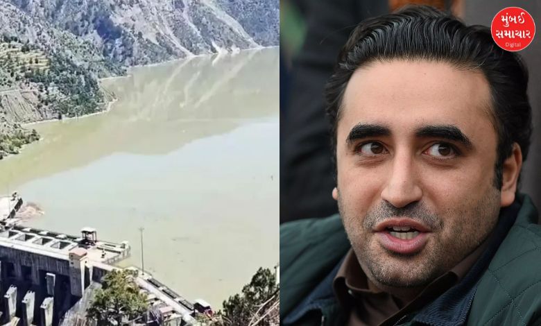 Bilawal Bhutto, who threatened to 'shed blood in the river', has come to his senses! Talks about peace with India