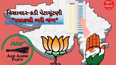 ગુજરાતમાં હવે કડી અને વિસાવદરની બેઠક બનશે 'કુરુક્ષેત્ર': 2 બેઠક માટે અનેક દાવેદારો મેદાનમાં