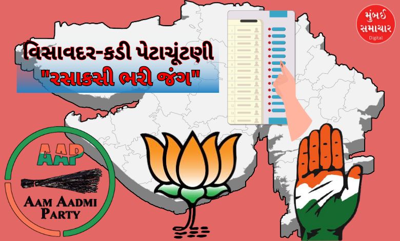 ગુજરાતમાં હવે કડી અને વિસાવદરની બેઠક બનશે 'કુરુક્ષેત્ર': 2 બેઠક માટે અનેક દાવેદારો મેદાનમાં