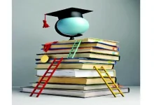 Career: Diplomas outweigh degrees when it comes to jobs...