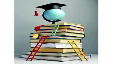 Career: Diplomas outweigh degrees when it comes to jobs...