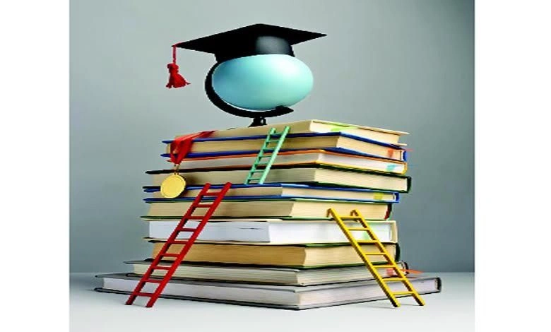 Career: Diplomas outweigh degrees when it comes to jobs...