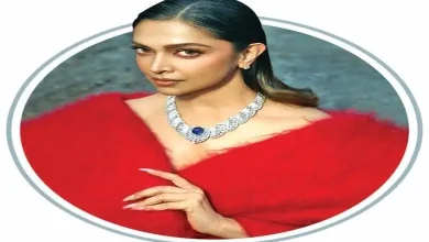 Deepika Padukone leaves Spirit film