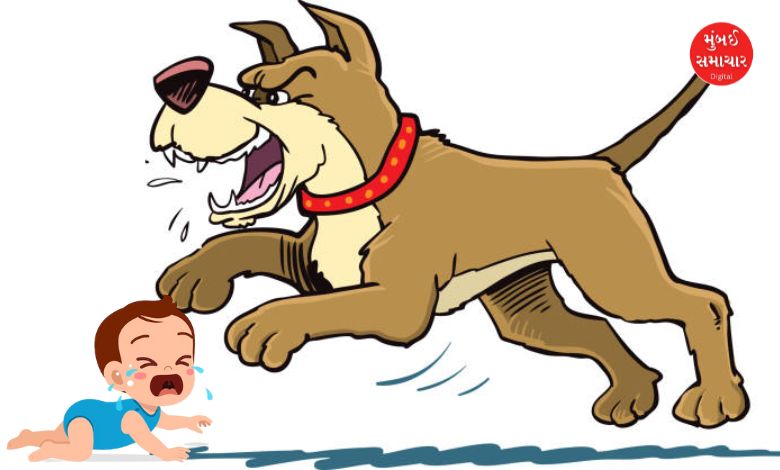 Dog tears apart newborn baby in Bhavnagar