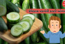 તમે પણ તો નથી ખાતાને કેમિકલ્સથી પકાવેલી કાકડી? ખાવાના નુકસાન વિશે જાણી લેશો તો...