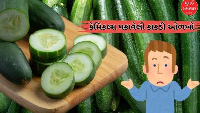 તમે પણ તો નથી ખાતાને કેમિકલ્સથી પકાવેલી કાકડી? ખાવાના નુકસાન વિશે જાણી લેશો તો...