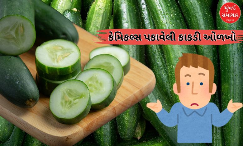 તમે પણ તો નથી ખાતાને કેમિકલ્સથી પકાવેલી કાકડી? ખાવાના નુકસાન વિશે જાણી લેશો તો...