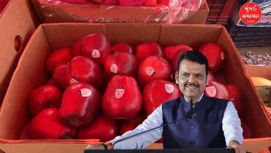 Fadnavis boycotts Turkish products