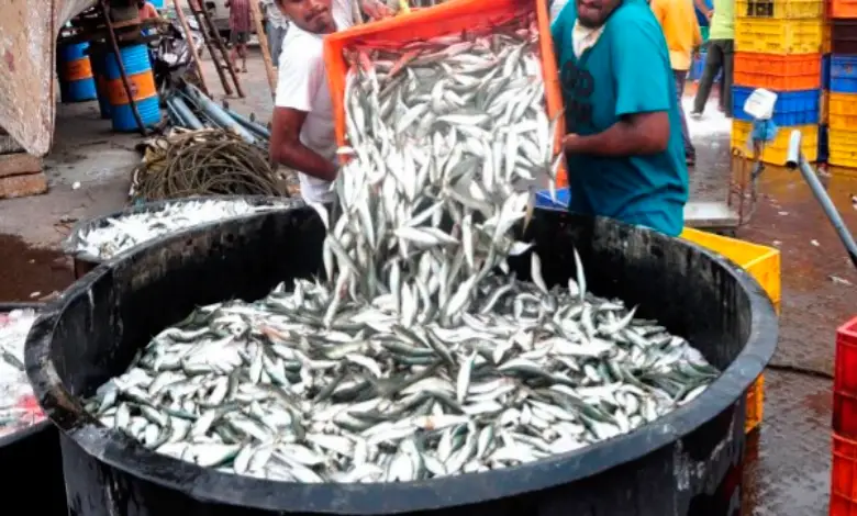 "Maharashtra Grants Agricultural Status to Fisheries Sector"