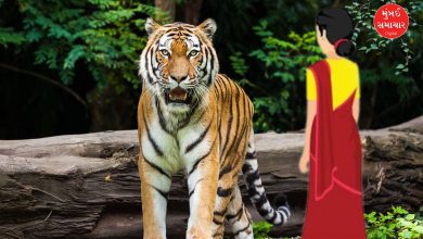 Five women mauled to death by tiger in Chandrapur in three days