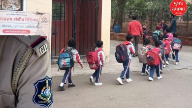 Government decision on school trips
