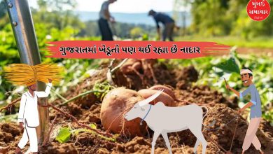 ગુજરાતમાં ખેડૂતોની વધતી મુશ્કેલી: કૃષિ NPA ₹6127 કરોડ પર પહોંચી