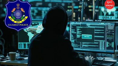 Gujarat Police solves 12 cyber crime cases