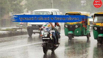 ગુજરાતમાં મે મહિનામાં મેઘમહેર: સામાન્યથી 20 ટકા વધુ વરસાદ નોંધાયો